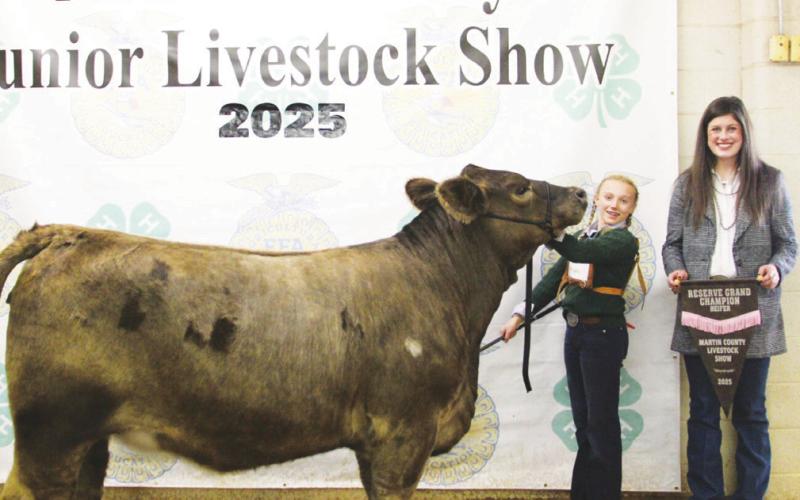 Reserve Champion Heifer Prestyn Borgstedt