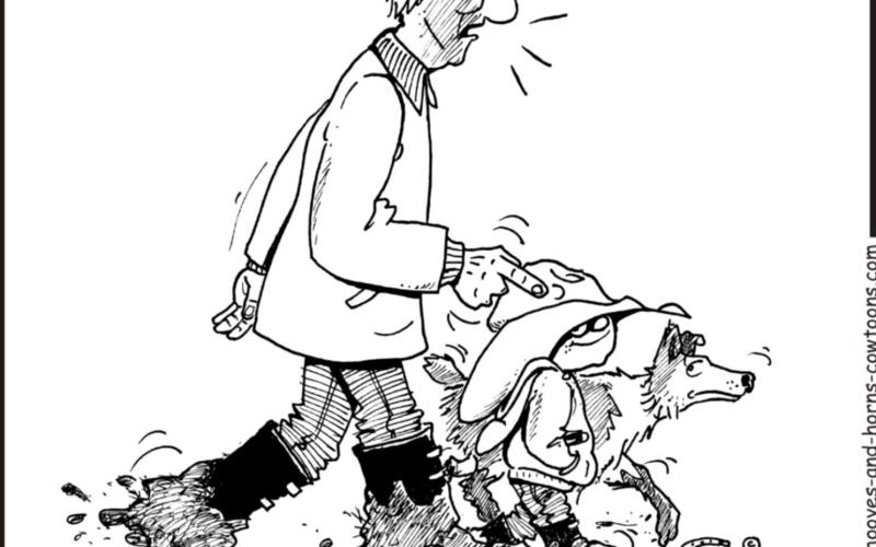 Alt Text for Image