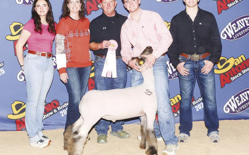 Glasscock County’s Waylyn Davis placed 8th in San Angelo with his heavy weight Fine Wool Cross. He also placed 4th with his Class 6 Medium Wool in San Antonio.