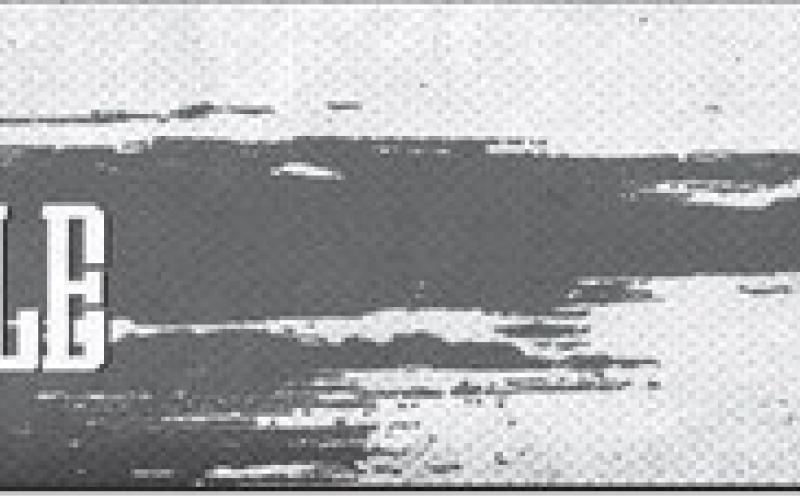 Alt Text for Image