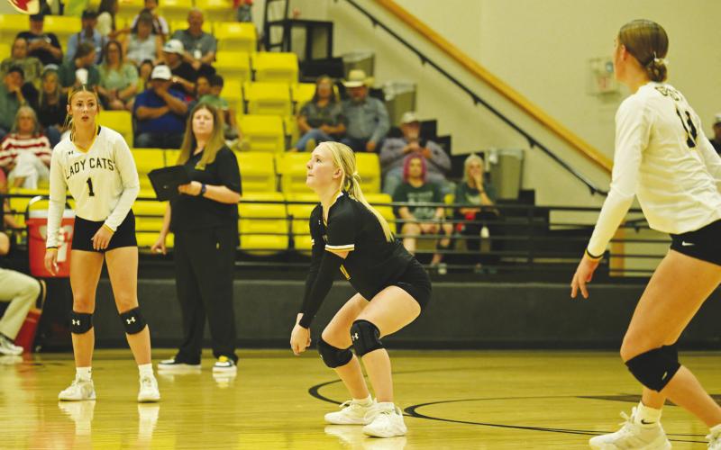 The Grady Wildcats took on some tough competition at the Fillie Fest Volleyball Tournament last week in Denver City.