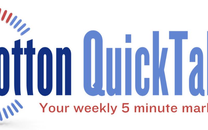 Cotton Quick Take