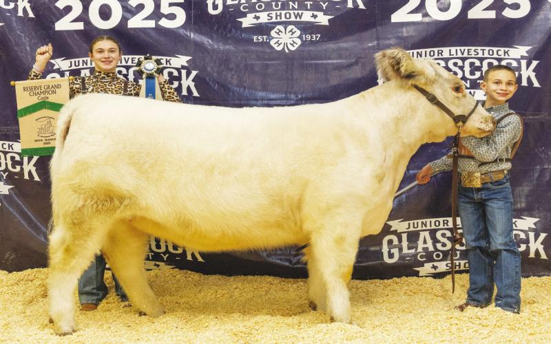 Reserve Champion Cattle Kameron Ezell