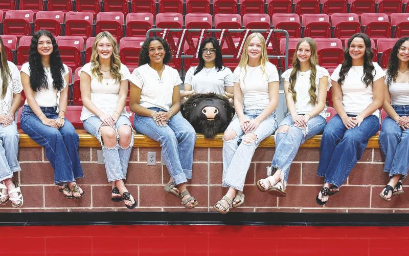 2026-2027 Stanton Varsity High School Cheerleaders: (not in order) Addison Chandler, Kaylee Ritchie, Bailey Brown, Zulayka Salgado, Ryleigh Ramirez, Lily Rodgers, Brooklyn Booth, LeAndra Gee, Tristy Carson, McKynlea Estrada, Malina Ramos, and Yeraldi Galindo. Buffy: Genesis Carrasco.