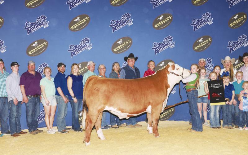 Prestyn Borgstedt exhibited the Champion Hereford at the San Antonio Livestock Market Steer Show. She had the opportunity to present her steer, Stevie, during the Grand Drive during the Friday Rodeo. She also participated in the Youth Auction. Stevie was raised by Jody and DeAnn Yates from Tarzan.