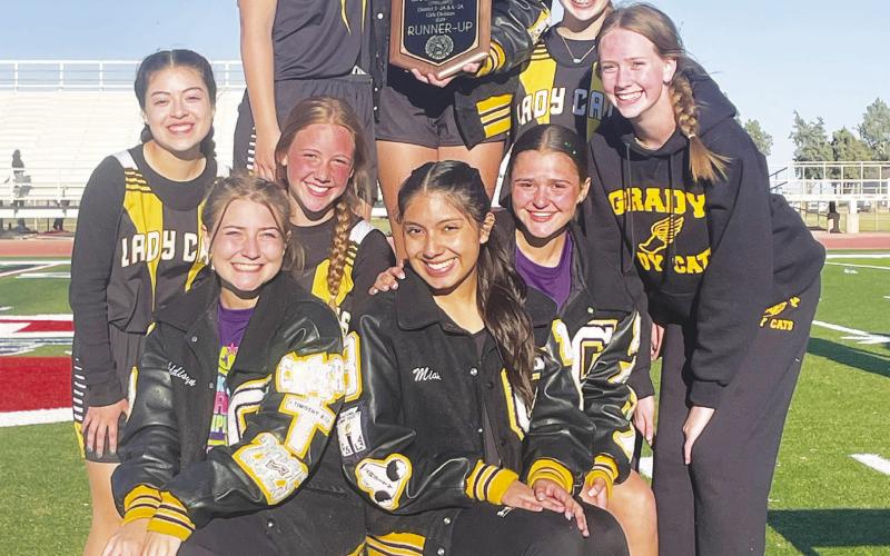 Lady Wildcats finish second at Area
