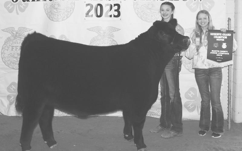 Brynlee Madison had a good day at the Martin County Junior Livestock Show last month earning Reserve Grand Champion Heifer. Madison also competed in the Fort Worth Stock Show last week and did great finishing third in her Class.