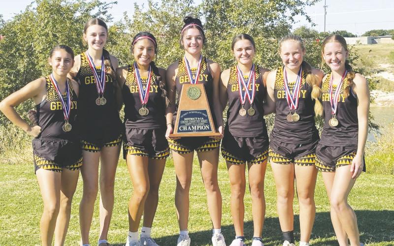 Lady Wildcats win third straight district title, nine headed to regionals