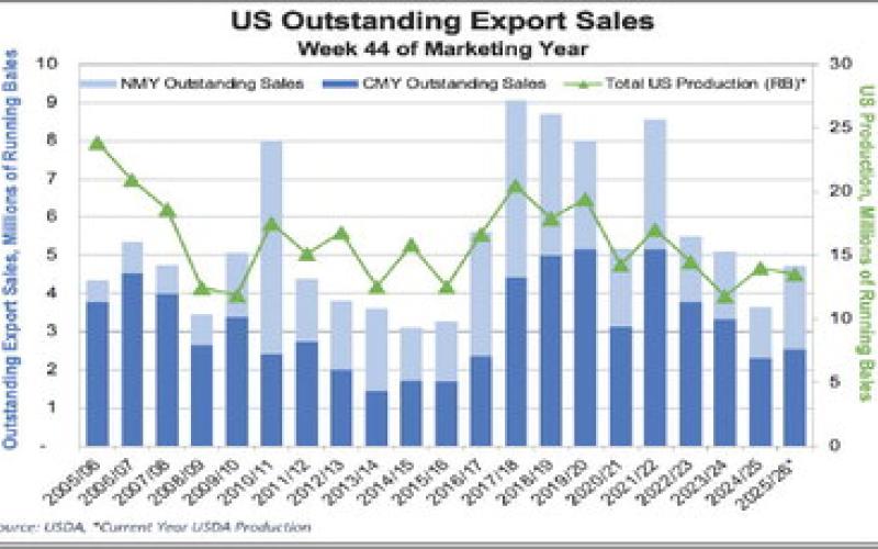 Cotton Quick Take
