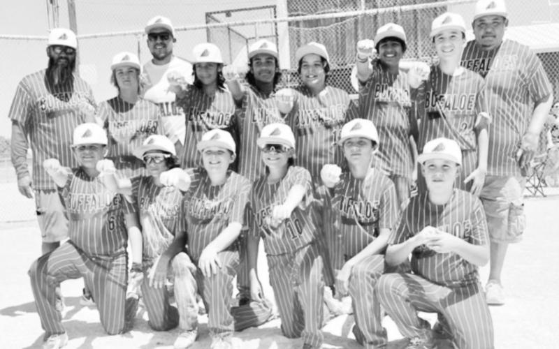 12U Stanton Buffaloes rally to win championship