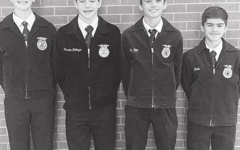 Area FFA Teams Exhibit FFA Leadership Skills at Area Competition