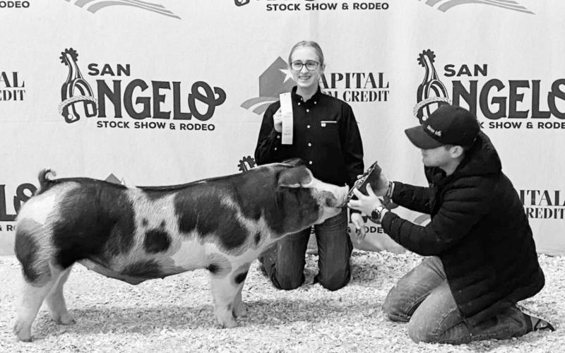 Katie Braden exhibited the 4th Place Spot at the San Angelo Stock Show.