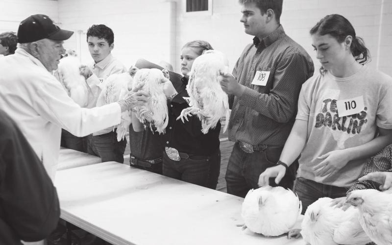 Martin County Pullet Association