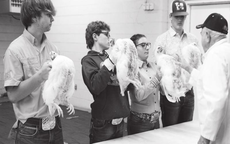 Martin County Pullet Association