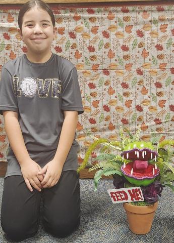 Pumpkin Contest