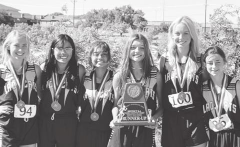 Wildcats run wild at district