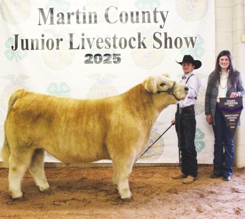 Grand Champion Steer Jade Stone