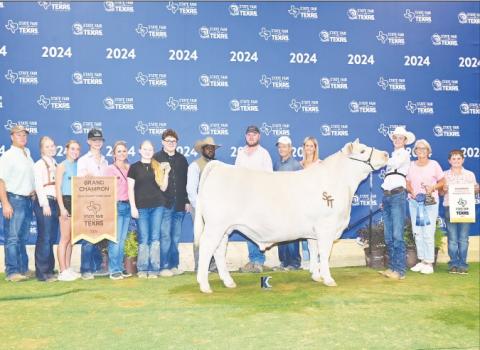 Jade Stone showed the Grand Champion