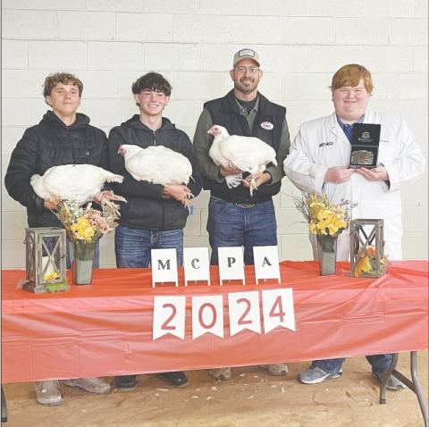 Pullet Show
