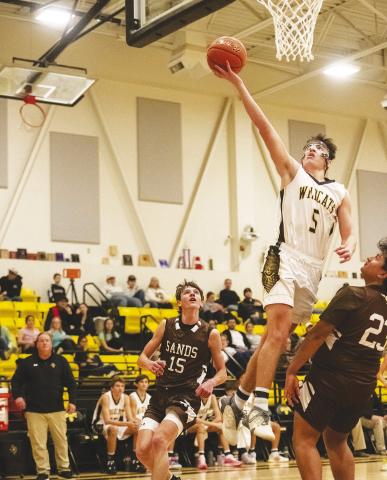 Grady senior guard Chapman Sims was named District 8-A Most Valuable Player. Sims helped the Wildcats to a top four district finish and led the team to the bi-district round of the state playoffs. by Savannah Thomas Photography