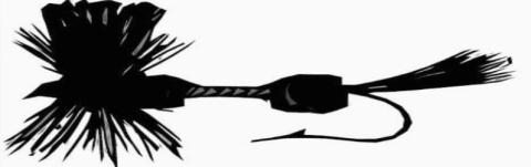 Fishing Report