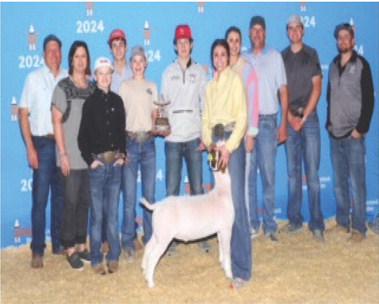 Emy and Sterling Schwartz from Glasscock County 4-H recently showed at the Houston Livestock Show and Rodeo. Emy - class 12-1st place Sterling- class 7- 13th place