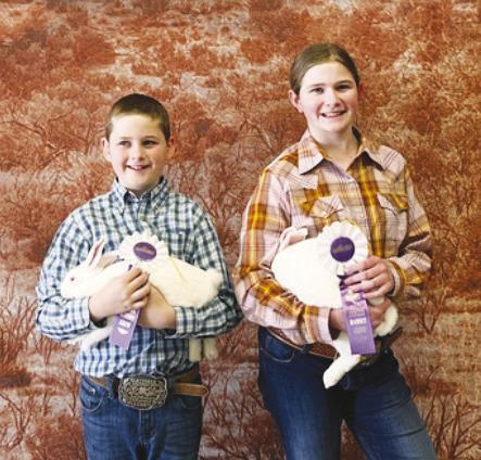 San Angelo Heifers & Rabbits