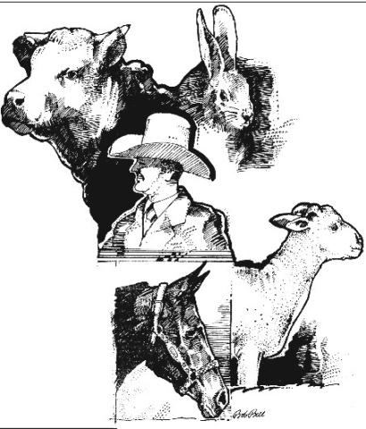 2024 Martin County Junior Livestock Show