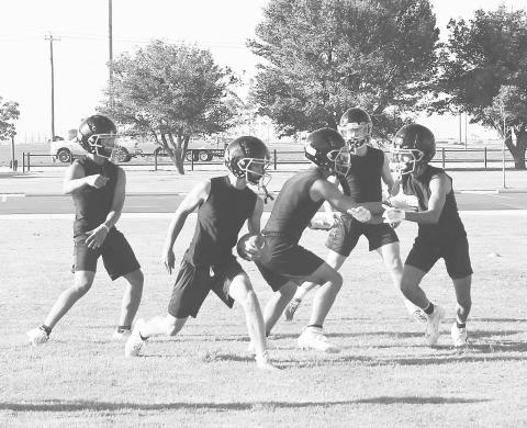 Wildcats hope to ride experience to winning season