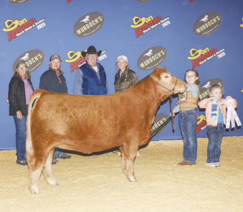 Channing Borgstedt exhibited the Reserve Champion ARB Heifer at the San Antonio Stockshow.