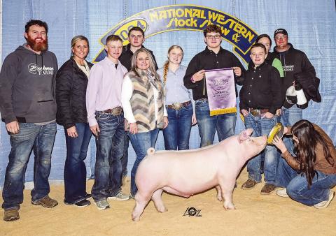 Grady freshman Cain Cooper exhibited the Champion Junior Market Swine Landrace at the 2024 National Western Livestock Show in Denver, Colorado. Cooper also had the champion Landrace in 2023.