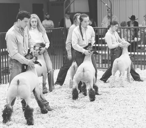 The 86th Annual Glasscock County Stock Show might have been down in numbers, but the quality of animals and exhibitors were as good as ever.