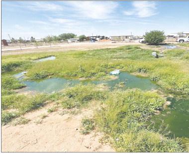 “Third world mentality”: two charged over sewage spill in Martin County