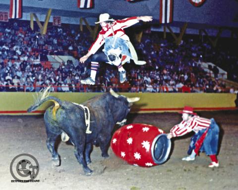 From 1982 SandHills bullfights: Rob Smets and Bob Romer- working a fighting bull in front of the SandHills crowd. Pic by Dudley Barker