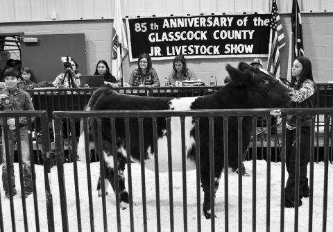 Glasscock Co. Jr. Livestock Show Results