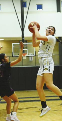Lady Cats fight back but fall short to Meadow
