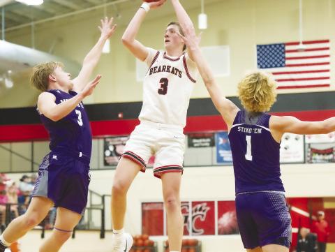 Bearkat rally comes up short against Sands