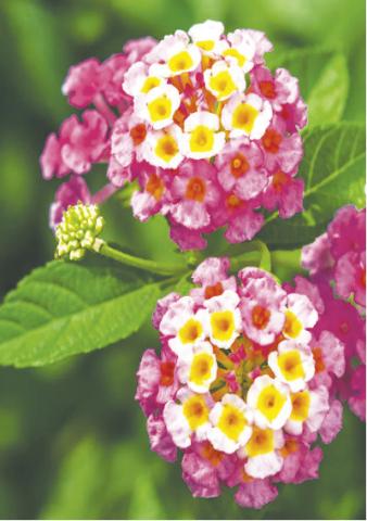 PBUWCD gives warmer weather water conservation tips