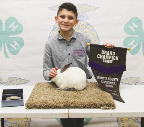 Daniel Woodward exhibited the Grand Champion Single Rabbit at the 2025 Martin County Stock Show. More champion photos to be publish in the coming weeks