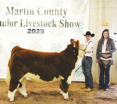 Reserve Champion Steer Roxton Stone