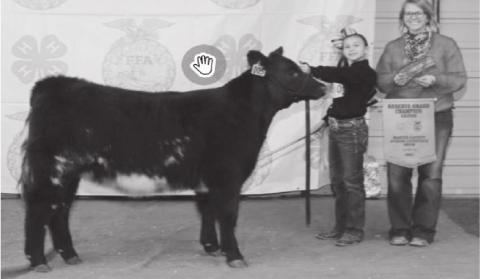 2021 Martin County Stock Show Reserve Grand Champions