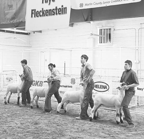 Lamb exhibitors at the Martin County Stock Show on Friday.