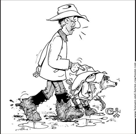 Alt Text for Image