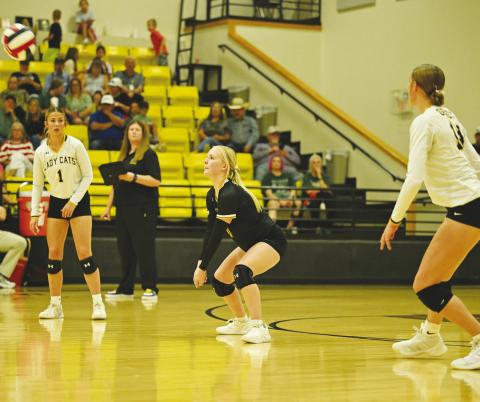 The Grady Wildcats took on some tough competition at the Fillie Fest Volleyball Tournament last week in Denver City.