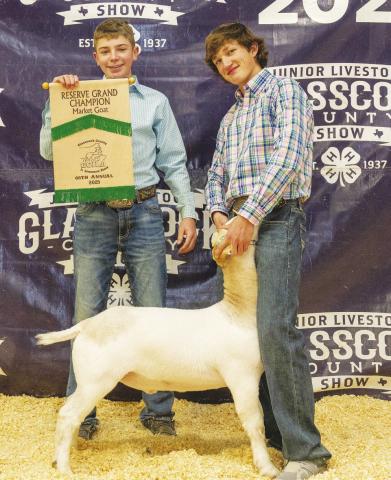 Reserve Champion Goat Miles Halfmann
