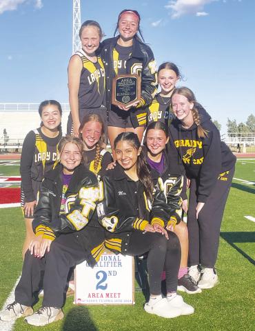 Lady Wildcats finish second at Area