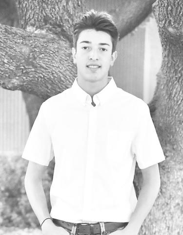 Angelo Holly
