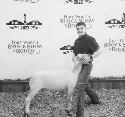 FORT WORTH JUNIOR STOCK SHOW RESULTS