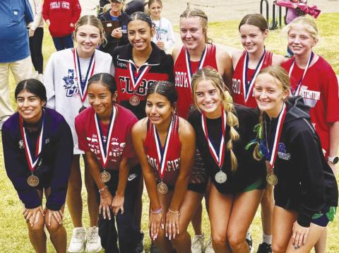 Stanton crosss country standout Lanie Burch (top right) finished in the Top 10 at the district meet in Lubbock last week.