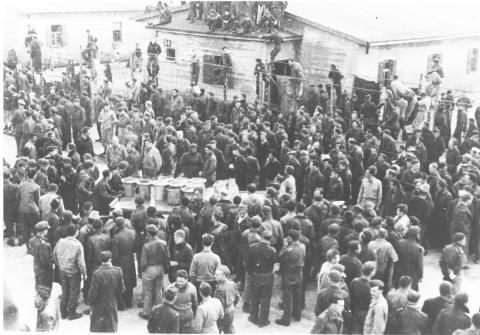 Local Remembers Liberation Day 78 Years Later